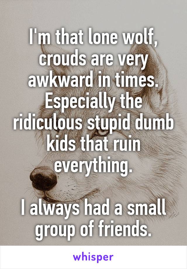 I'm that lone wolf, crouds are very awkward in times. Especially the ridiculous stupid dumb kids that ruin everything.

I always had a small group of friends.