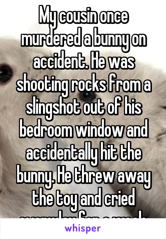 My cousin once murdered a bunny on accident. He was shooting rocks from a slingshot out of his bedroom window and accidentally hit the bunny. He threw away the toy and cried everyday for a week.