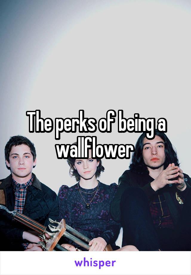 The perks of being a wallflower 