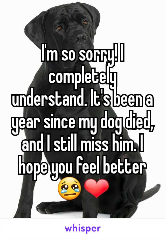 I'm so sorry! I completely understand. It's been a year since my dog died, and I still miss him. I hope you feel better 😢❤