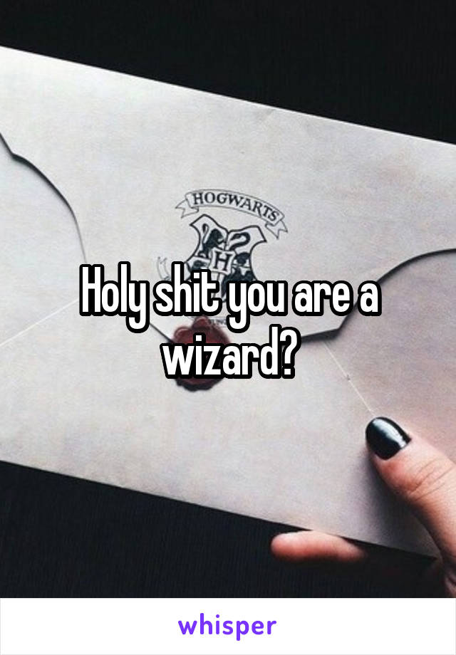 Holy shit you are a wizard?