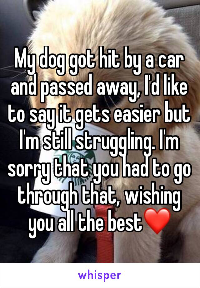 My dog got hit by a car and passed away, I'd like to say it gets easier but I'm still struggling. I'm sorry that you had to go through that, wishing you all the best❤