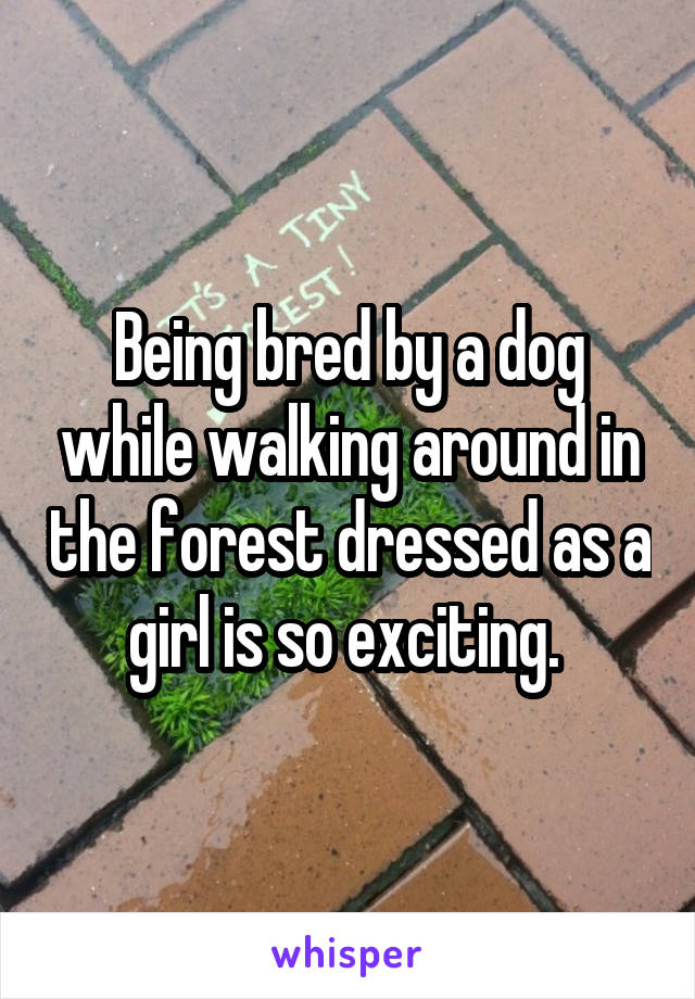 Being bred by a dog while walking around in the forest dressed as a girl is so exciting. 