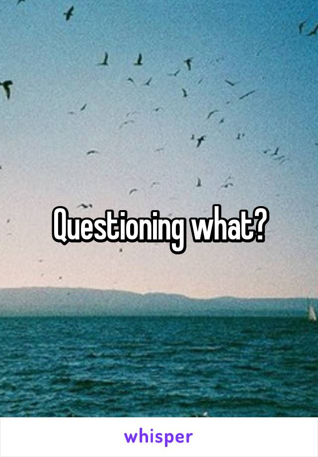 Questioning what?