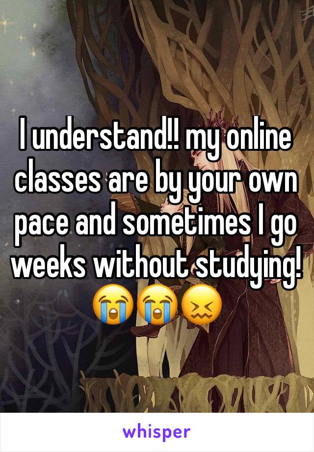 I understand!! my online classes are by your own pace and sometimes I go weeks without studying! 😭😭😖
