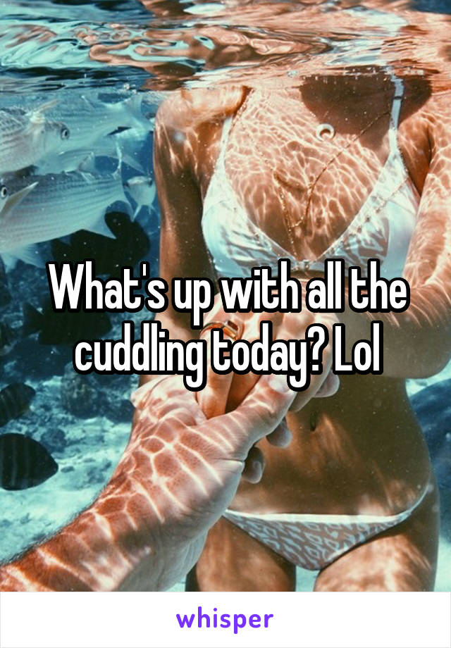 What's up with all the cuddling today? Lol