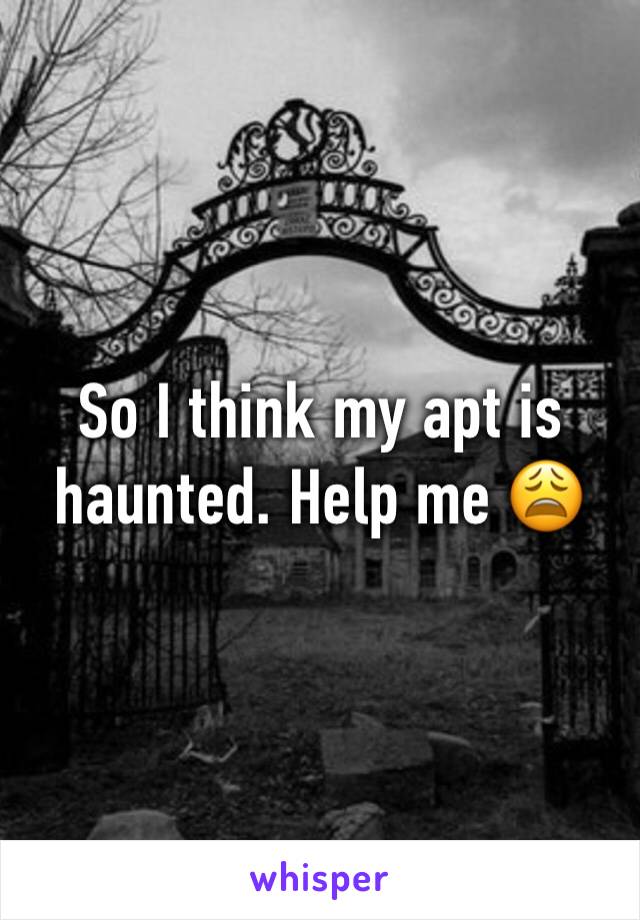 So I think my apt is haunted. Help me 😩