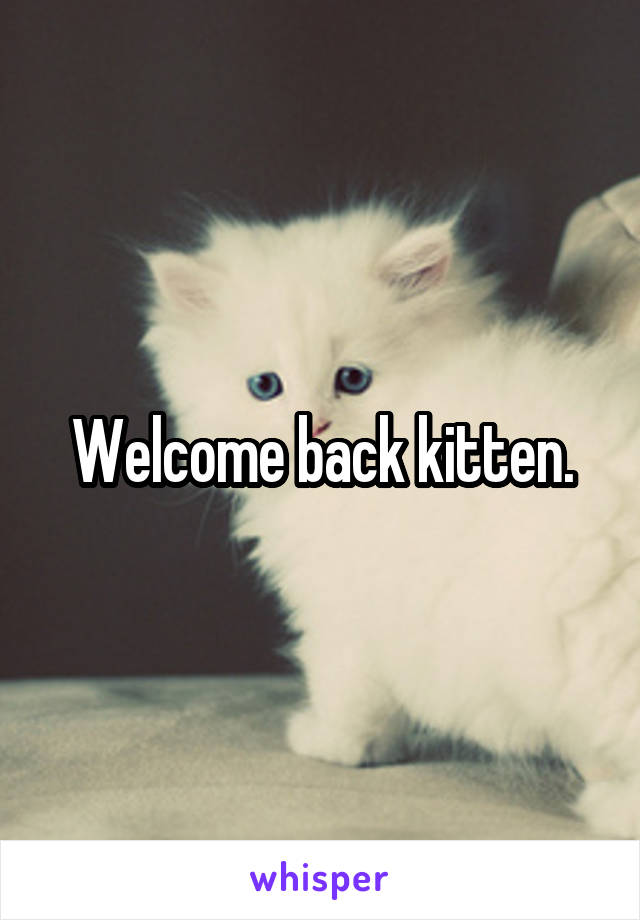 Welcome back kitten.