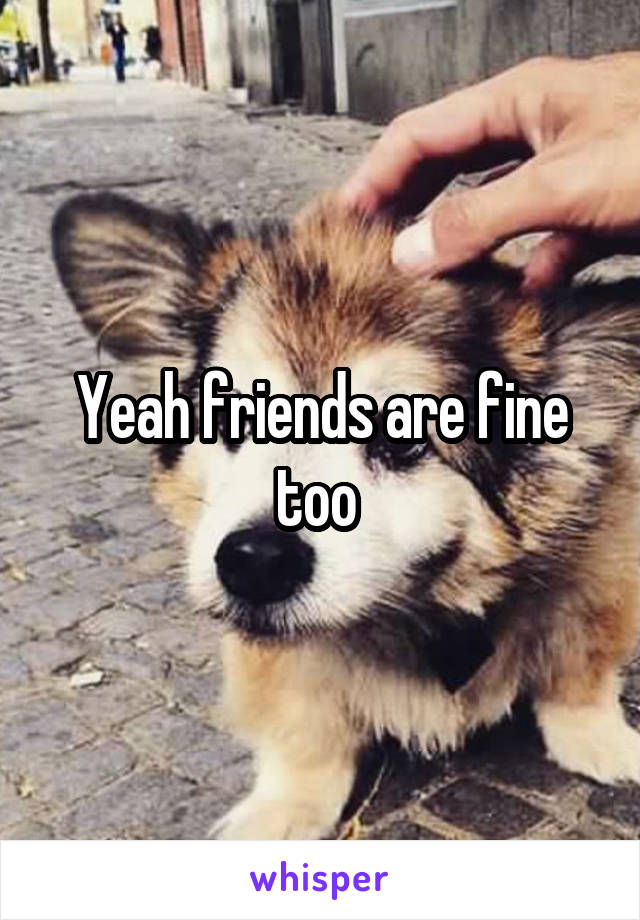 Yeah friends are fine too 