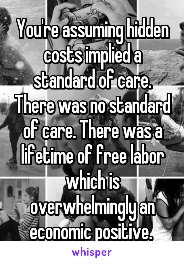 You're assuming hidden costs implied a standard of care. There was no standard of care. There was a lifetime of free labor which is overwhelmingly an economic positive. 