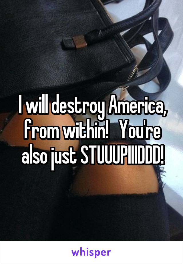 I will destroy America, from within!   You're also just STUUUPIIIDDD!