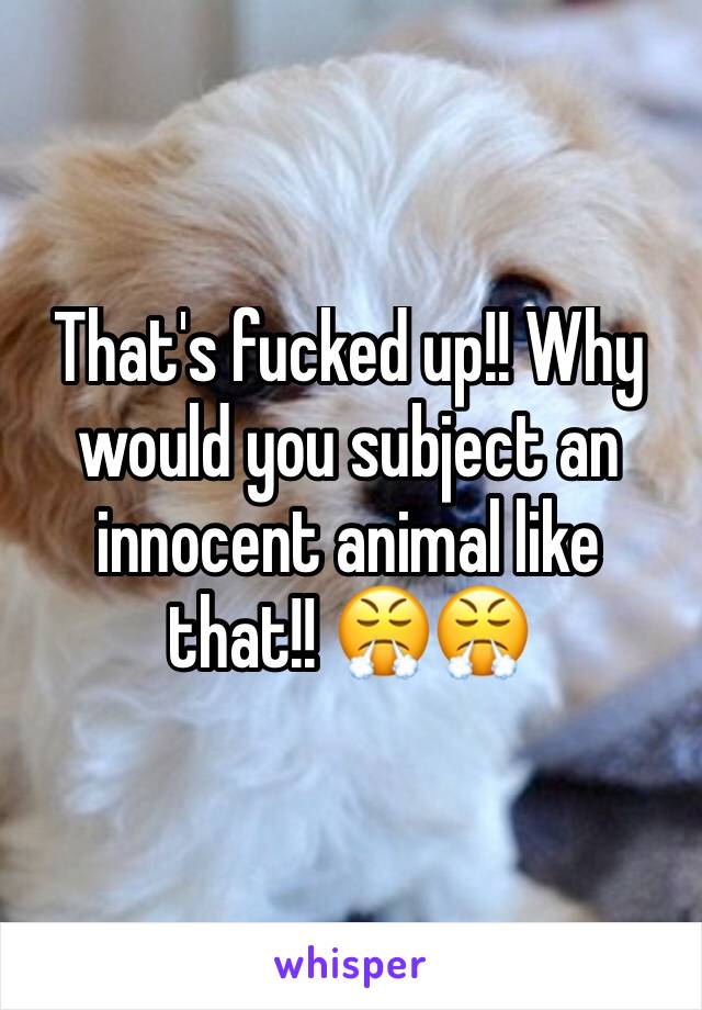 That's fucked up!! Why would you subject an innocent animal like that!! 😤😤