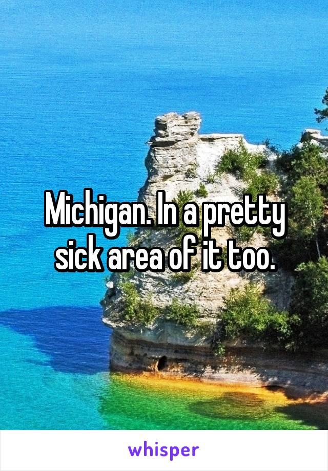 Michigan. In a pretty sick area of it too.