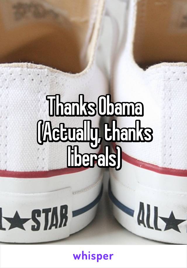 Thanks Obama
(Actually, thanks liberals)