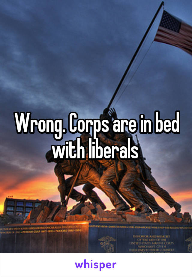 Wrong. Corps are in bed with liberals 