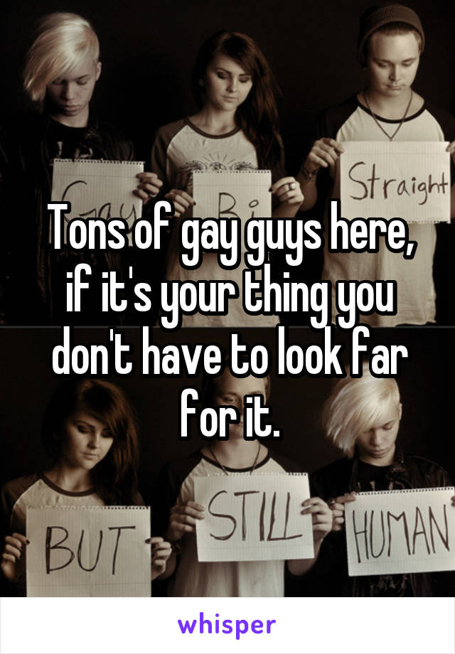 Tons of gay guys here, if it's your thing you don't have to look far for it.