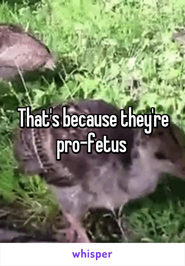 That's because they're pro-fetus 