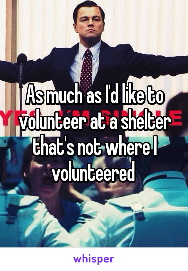 As much as I'd like to volunteer at a shelter that's not where I volunteered 