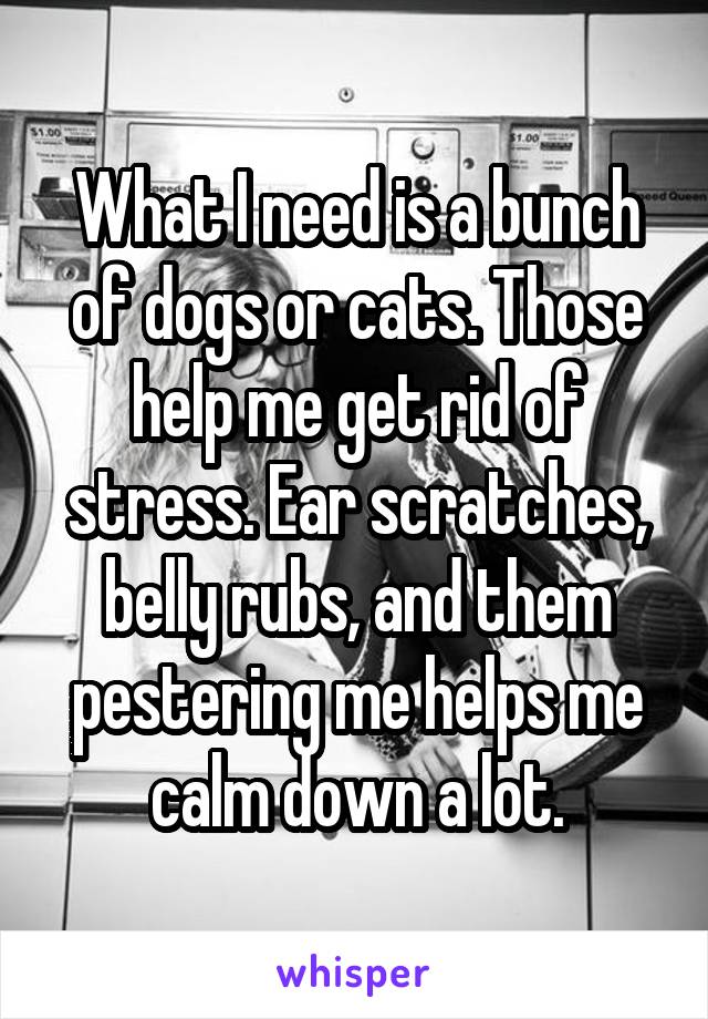What I need is a bunch of dogs or cats. Those help me get rid of stress. Ear scratches, belly rubs, and them pestering me helps me calm down a lot.