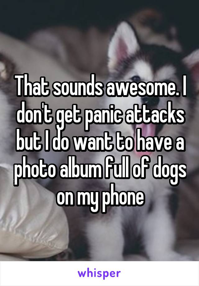 That sounds awesome. I don't get panic attacks but I do want to have a photo album full of dogs on my phone