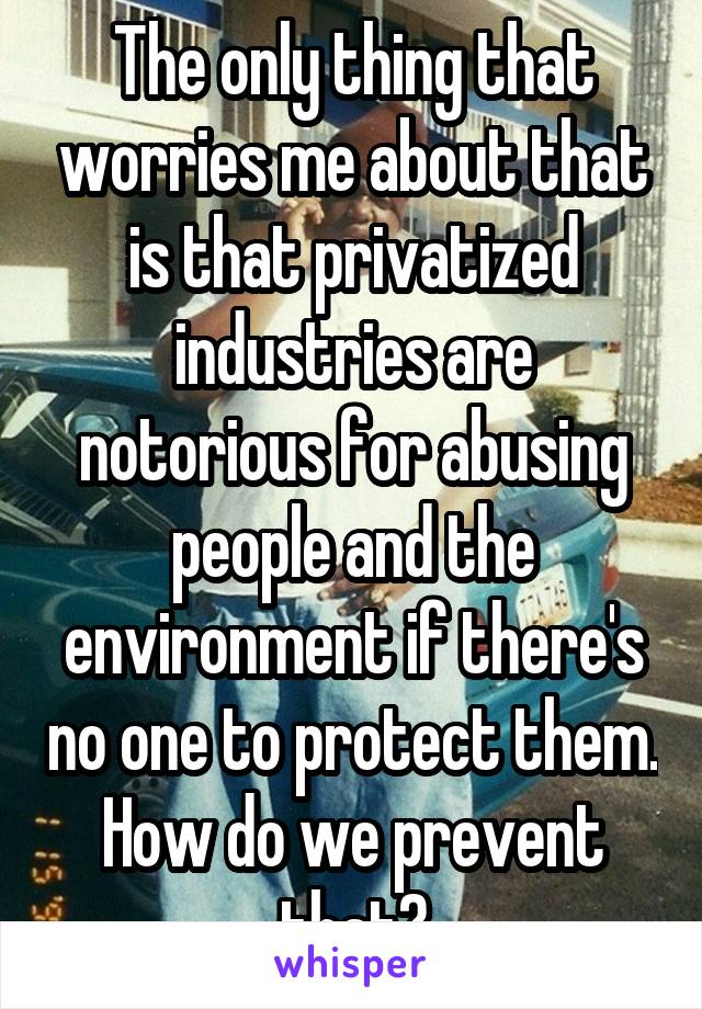 The only thing that worries me about that is that privatized industries are notorious for abusing people and the environment if there's no one to protect them. How do we prevent that?