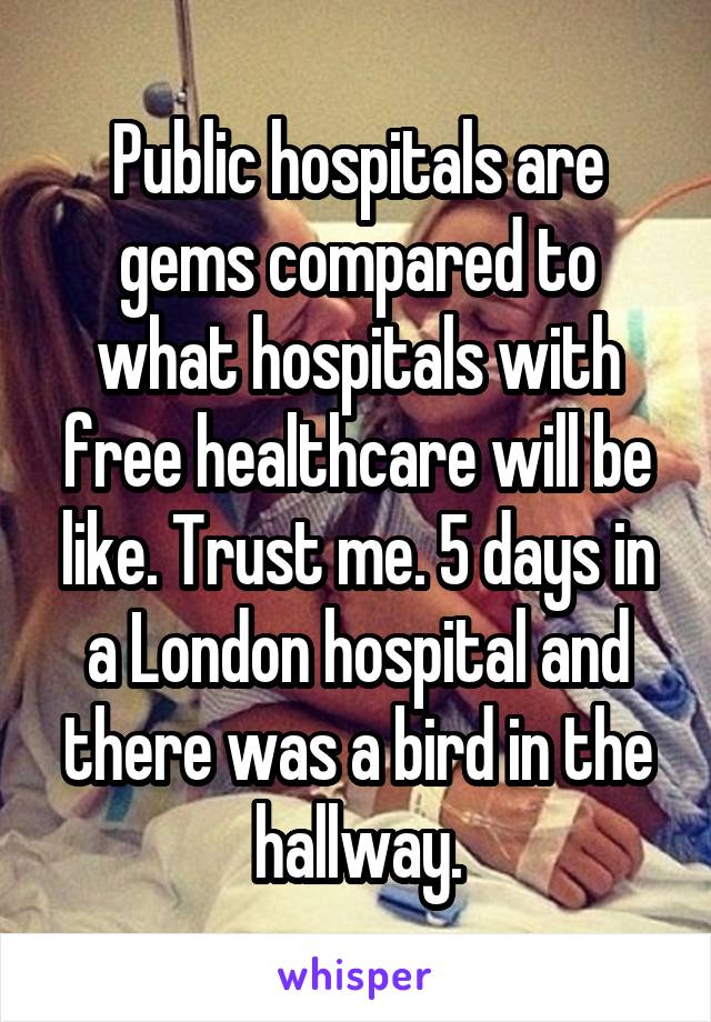 Public hospitals are gems compared to what hospitals with free healthcare will be like. Trust me. 5 days in a London hospital and there was a bird in the hallway.