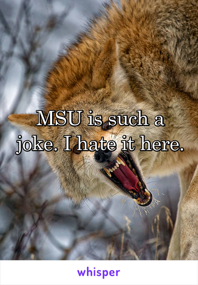 MSU is such a joke. I hate it here. 