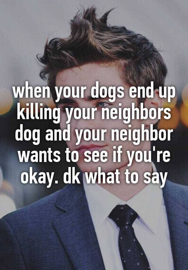 when your dogs end up killing your neighbors dog and your neighbor wants to see if you're okay