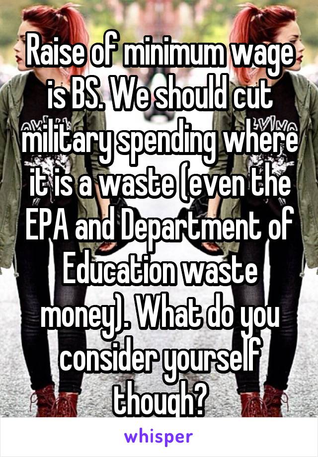 Raise of minimum wage is BS. We should cut military spending where it is a waste (even the EPA and Department of Education waste money). What do you consider yourself though?