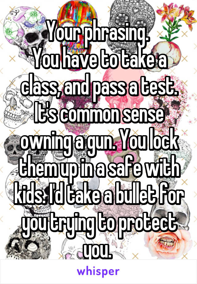 Your phrasing. 
You have to take a class, and pass a test. It's common sense owning a gun. You lock them up in a safe with kids. I'd take a bullet for you trying to protect you. 