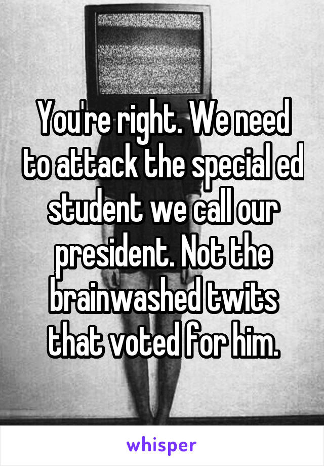 You're right. We need to attack the special ed student we call our president. Not the brainwashed twits that voted for him.