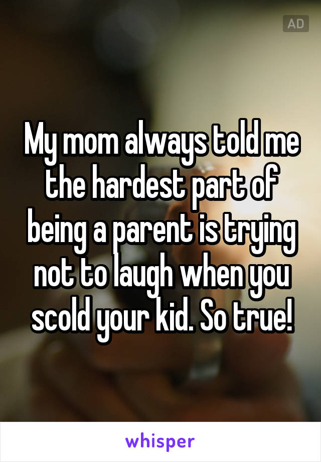 My mom always told me the hardest part of being a parent is trying not to laugh when you scold your kid. So true!