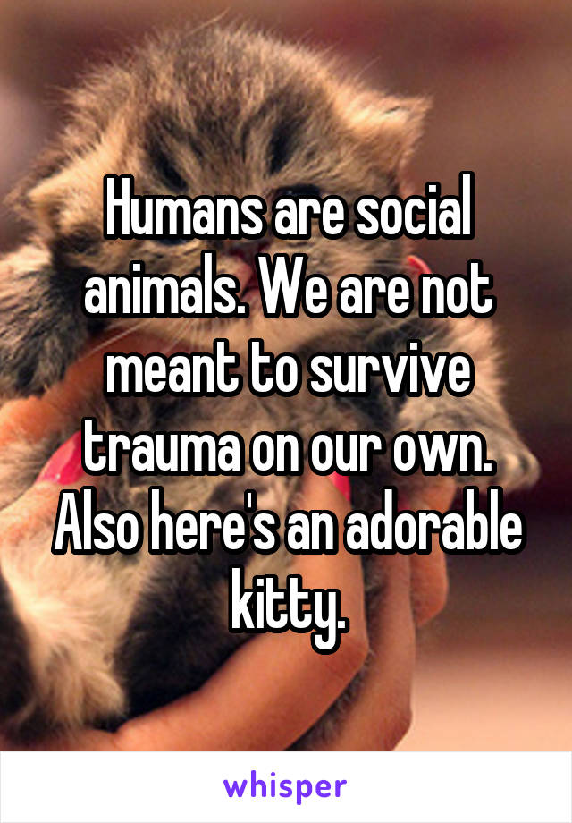 Humans are social animals. We are not meant to survive trauma on our own.  Also here's