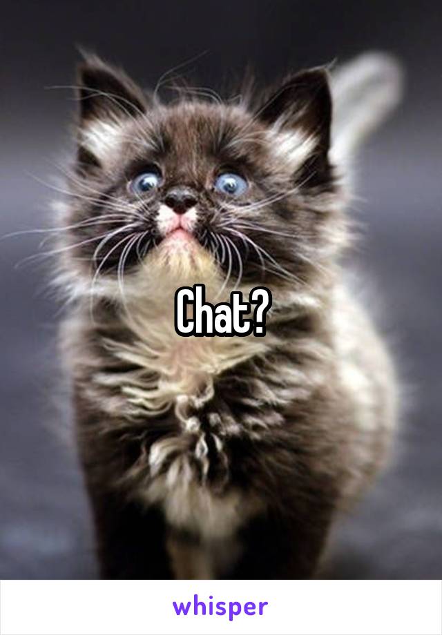 Chat?