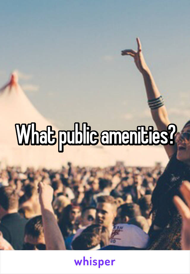 What public amenities?