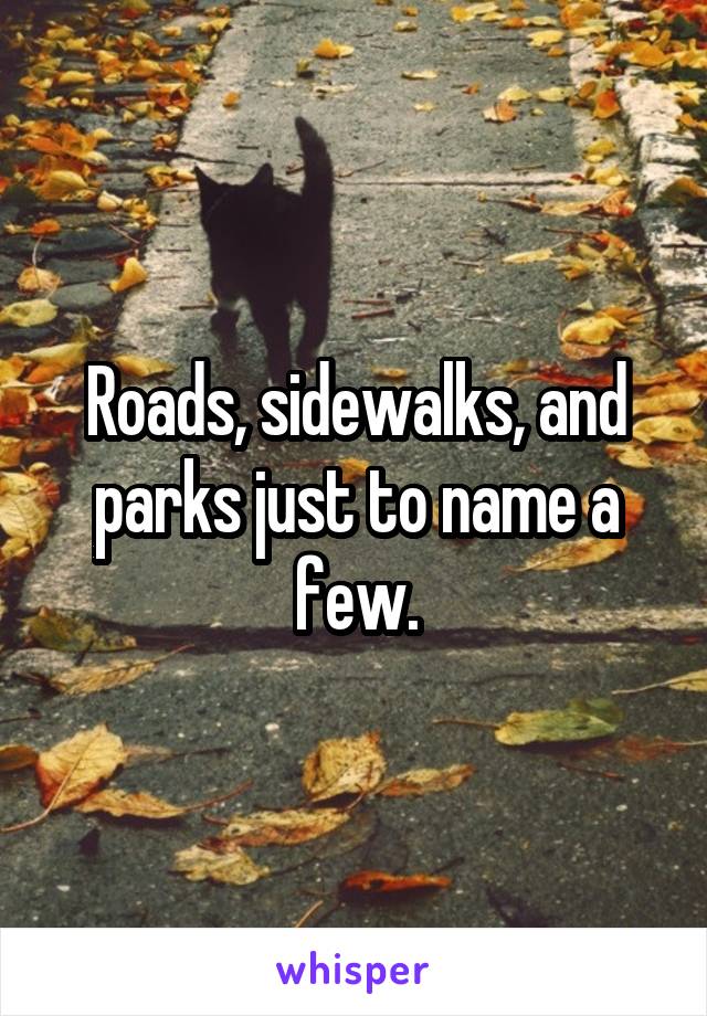 Roads, sidewalks, and parks just to name a few.