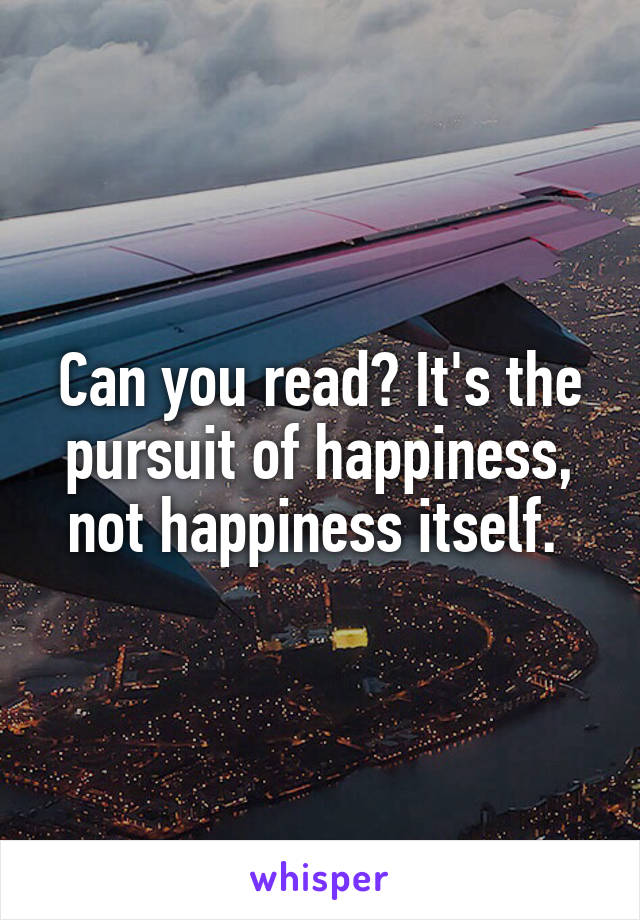 Can you read? It's the pursuit of happiness, not happiness itself. 