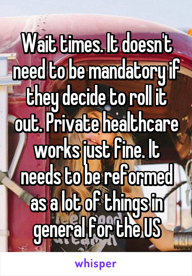 Wait times. It doesn't need to be mandatory if they decide to roll it out. Private healthcare works just fine. It needs to be reformed as a lot of things in general for the US