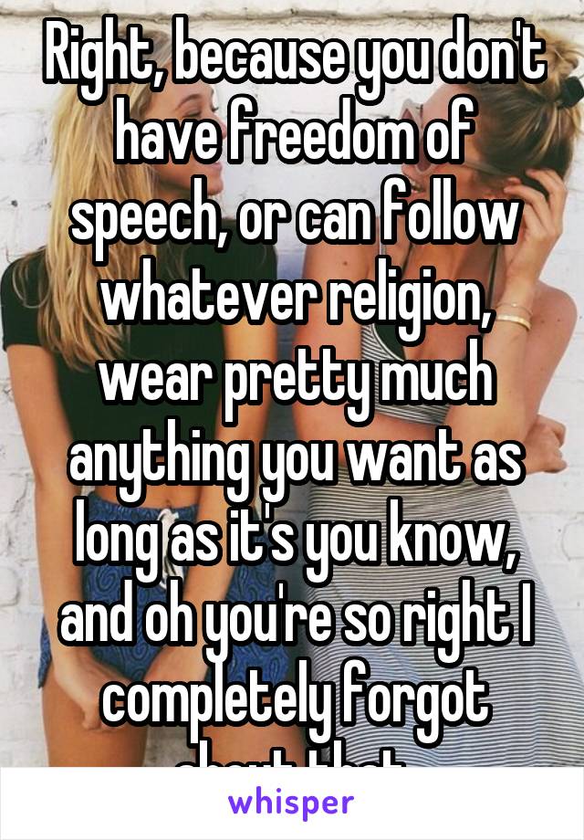 Right, because you don't have freedom of speech, or can follow whatever religion, wear pretty much anything you want as long as it's you know, and oh you're so right I completely forgot about that 