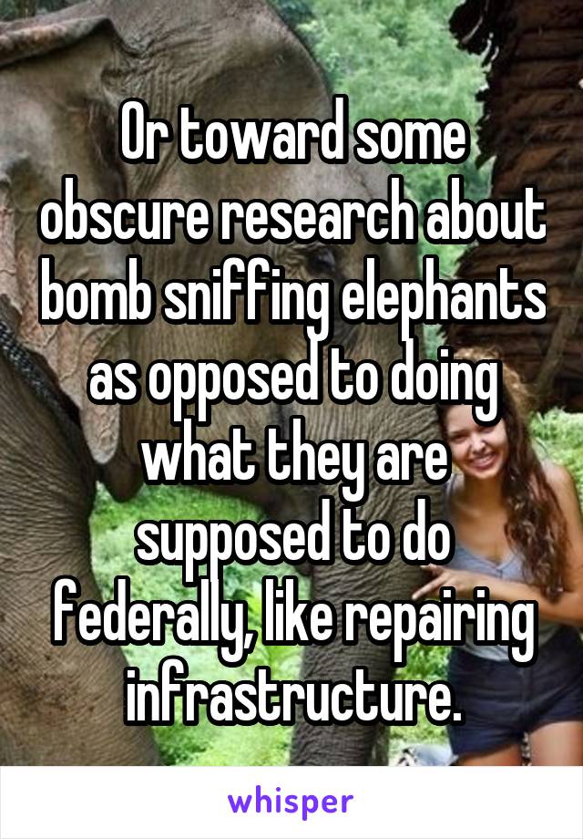 Or toward some obscure research about bomb sniffing elephants as opposed to doing what they are supposed to do federally, like repairing infrastructure.