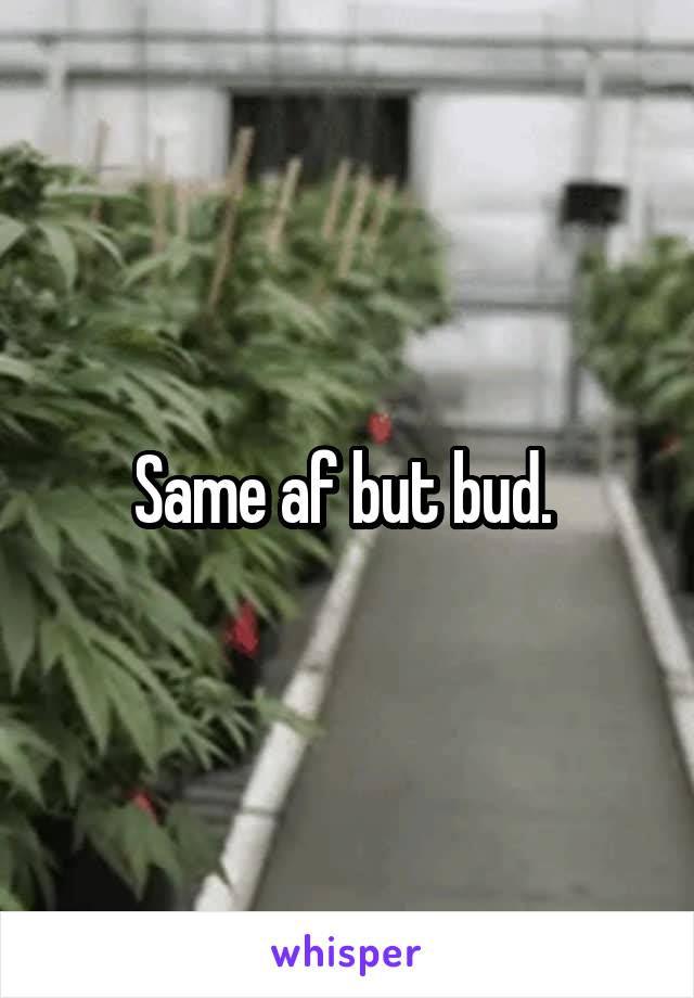 Same af but bud. 