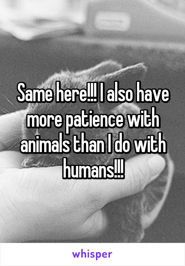 Same here!!! I also have more patience with animals than I do with humans!!!