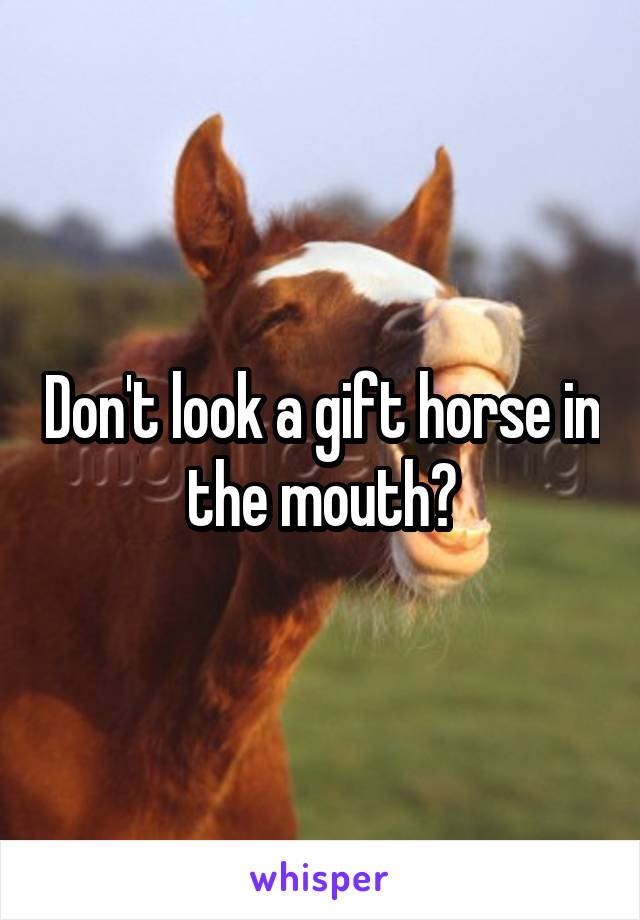 Don't look a gift horse in the mouth?