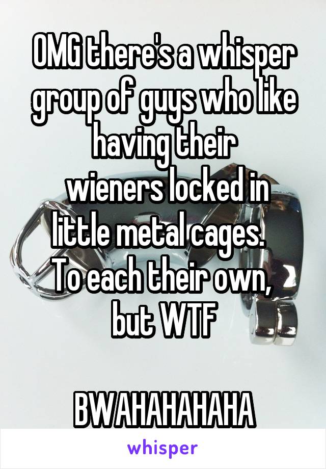 OMG there's a whisper group of guys who like having their
 wieners locked in little metal cages.  
To each their own, 
but WTF

BWAHAHAHAHA