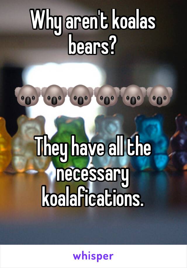 Why aren't koalas bears?

🐨🐨🐨🐨🐨🐨

They have all the necessary koalafications. 