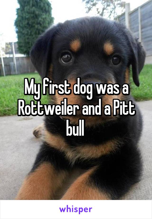 My first dog was a Rottweiler and a Pitt bull 