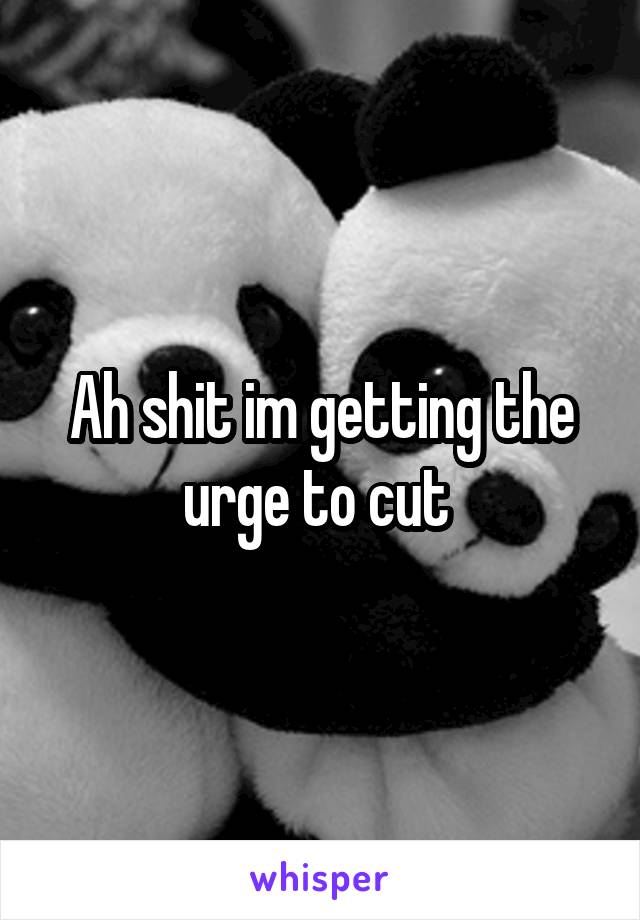 Ah shit im getting the urge to cut 