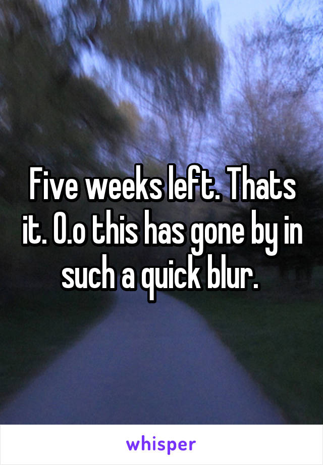 Five weeks left. Thats it. O.o this has gone by in such a quick blur. 