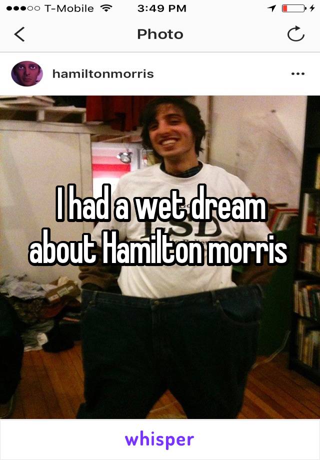 I had a wet dream about Hamilton morris 