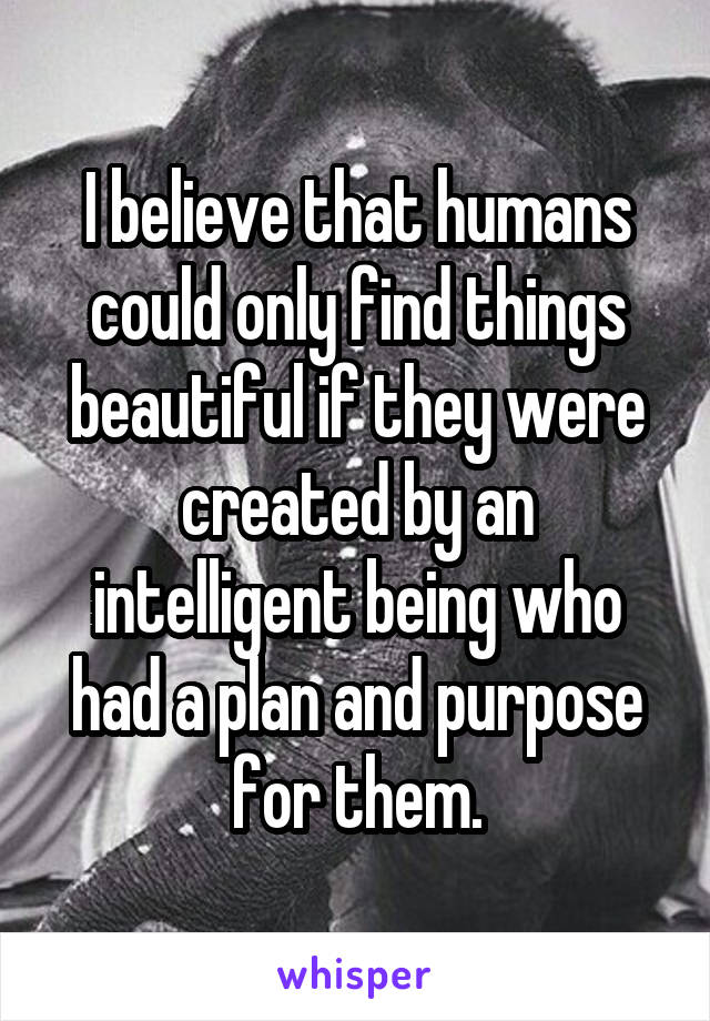 I believe that humans could only find things beautiful if they were created by an intelligent being who had a plan and purpose for them.